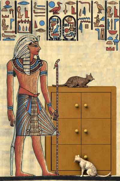 11 Il Cassettone della nonna e Tutankhamon