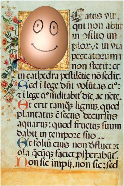 49 De Rerum Ovarum B