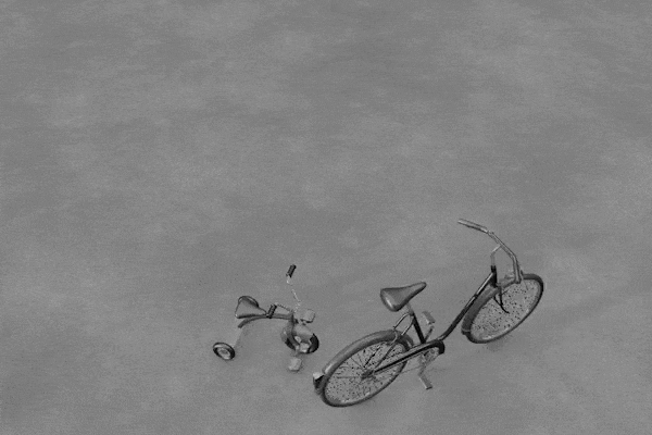 Ladra di bicicletta Triciclo BN 2
