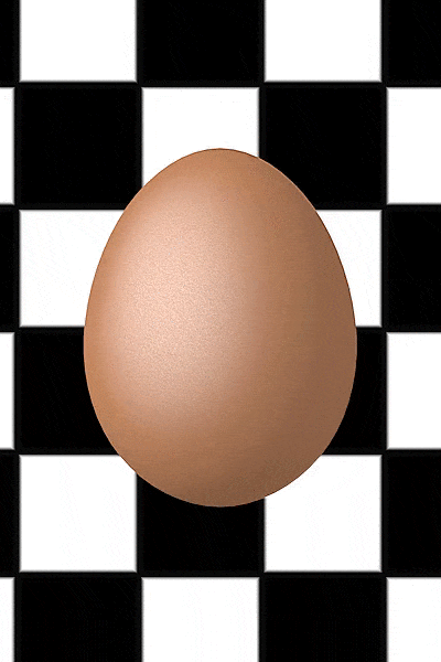 S4 Uovo Invisibile